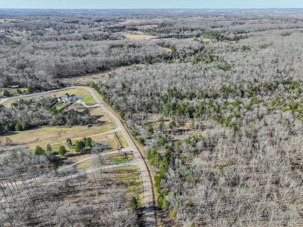 0 Lasea Rd Spring Hill, TN 37174