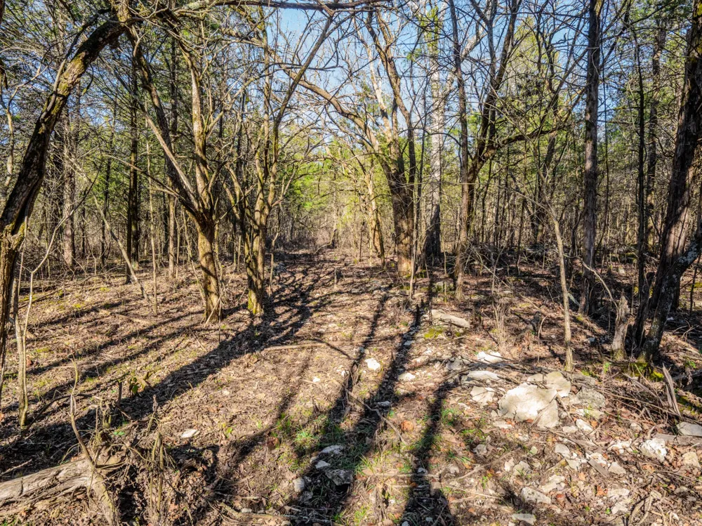0 Lasea Rd Spring Hill, TN 37174