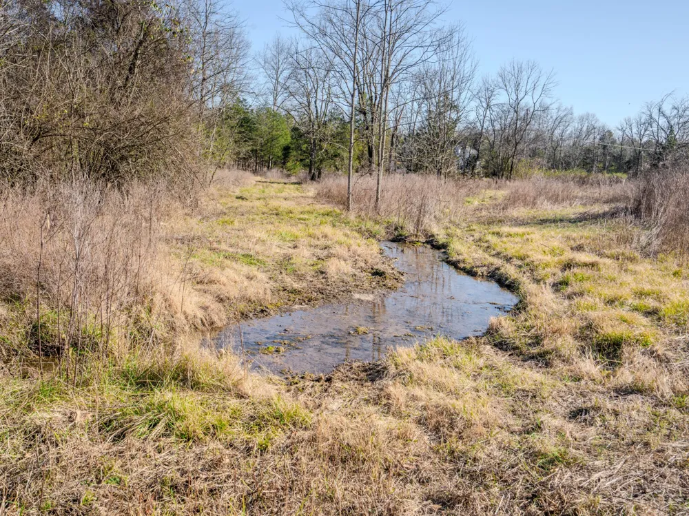 0 Lasea Rd Spring Hill, TN 37174