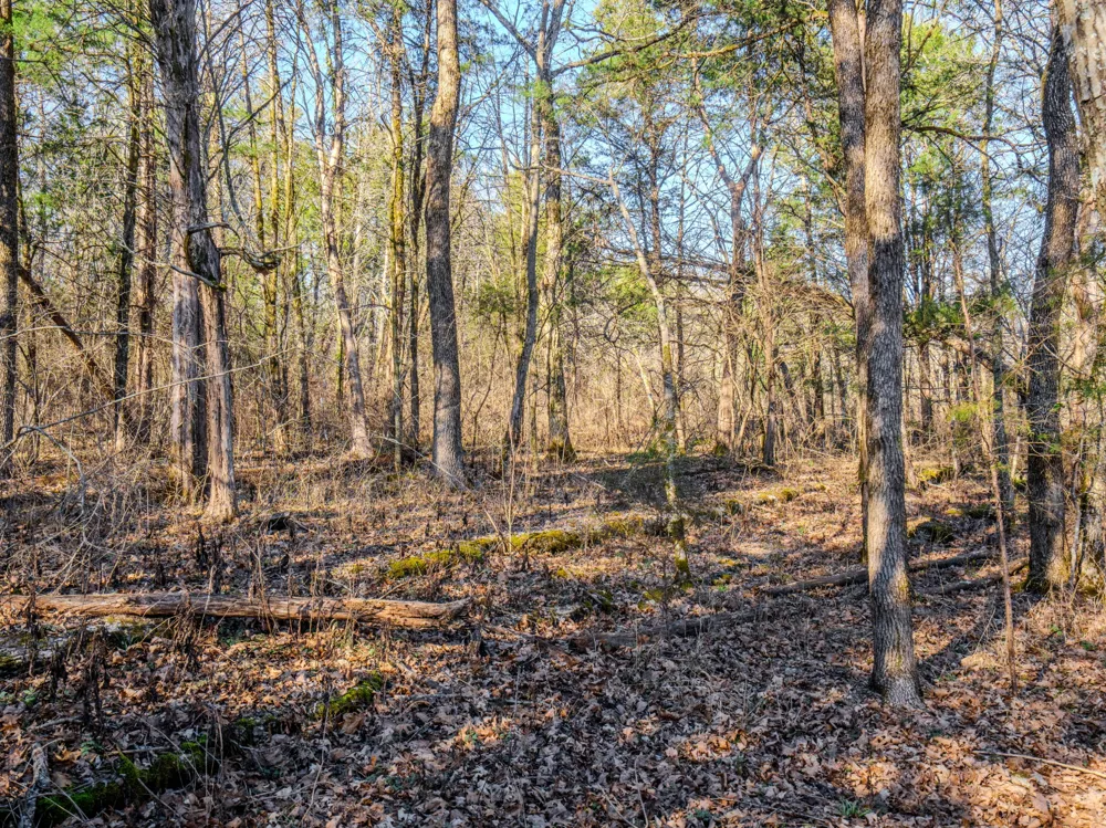 0 Lasea Rd Spring Hill, TN 37174