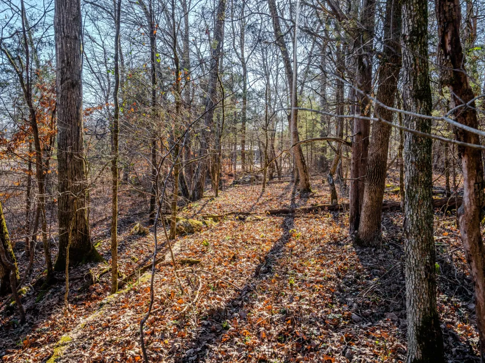 0 Lasea Rd Spring Hill, TN 37174