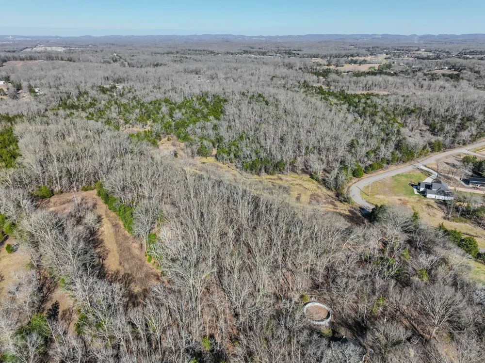 0 Lasea Rd Spring Hill, TN 37174
