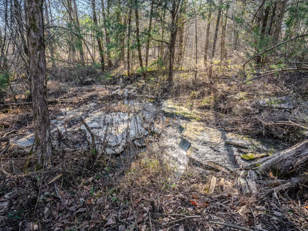 0 Lasea Rd Spring Hill, TN 37174