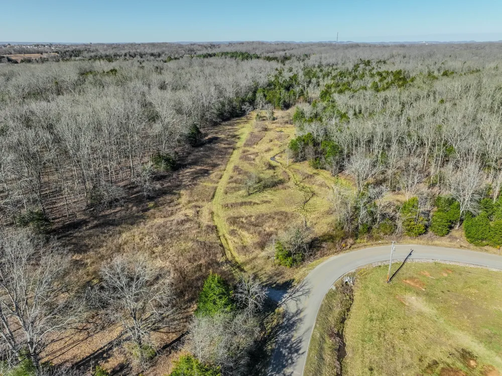 0 Lasea Rd Spring Hill, TN 37174