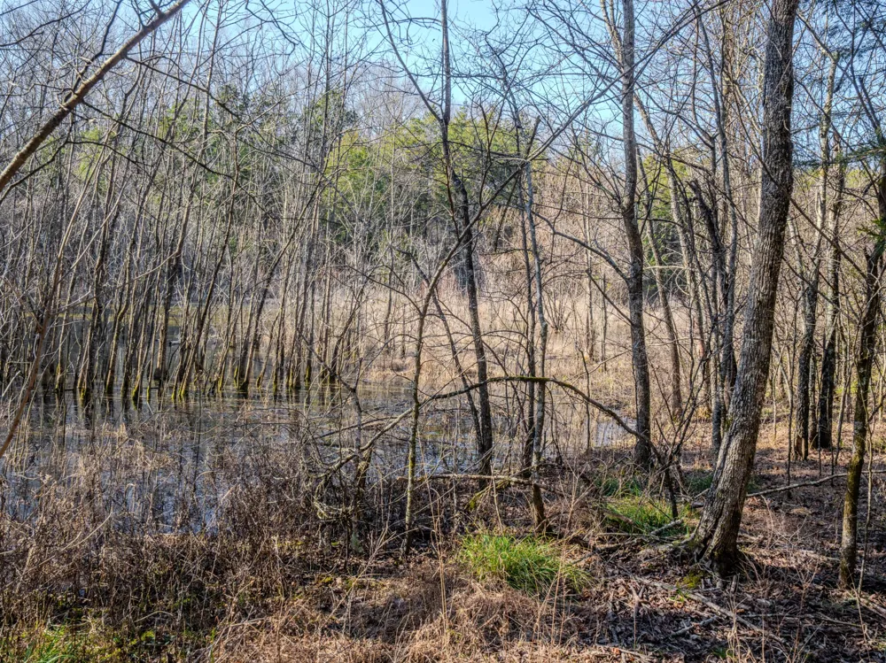 0 Lasea Rd Spring Hill, TN 37174