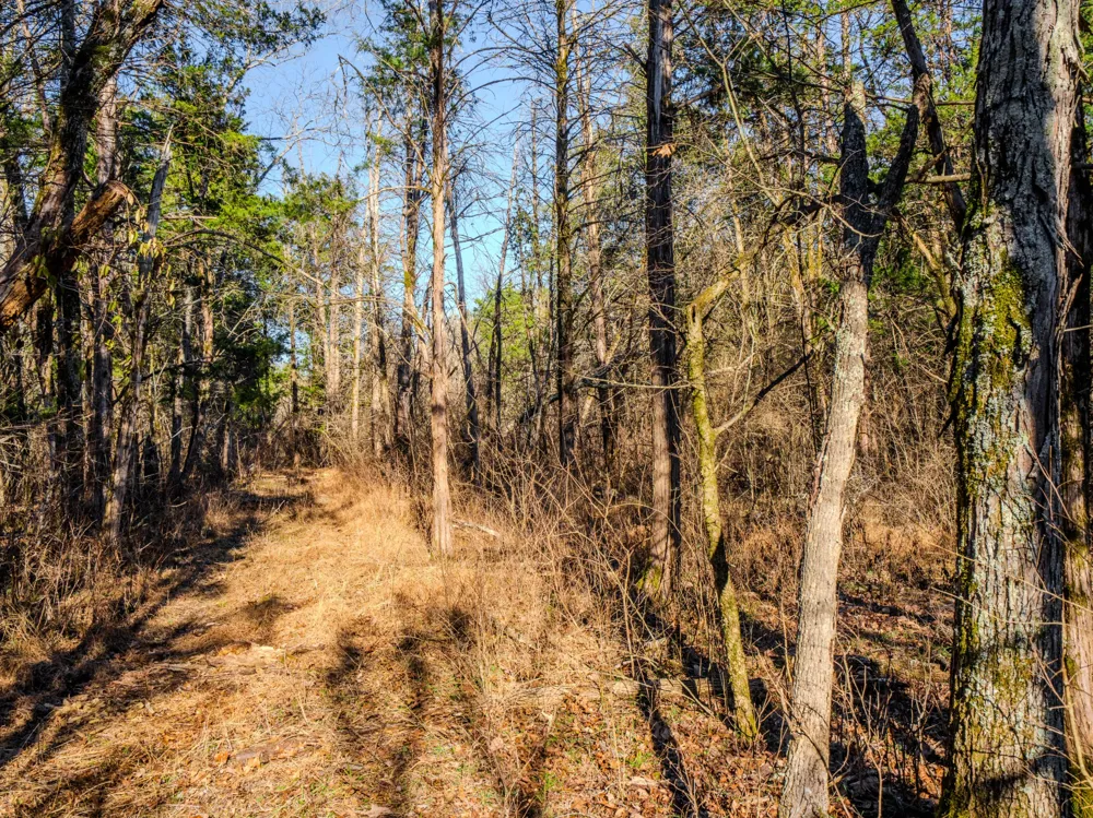 0 Lasea Rd Spring Hill, TN 37174