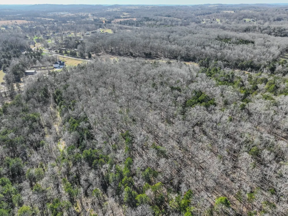 0 Lasea Rd Spring Hill, TN 37174