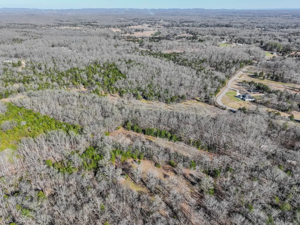 0 Lasea Rd Spring Hill, TN 37174