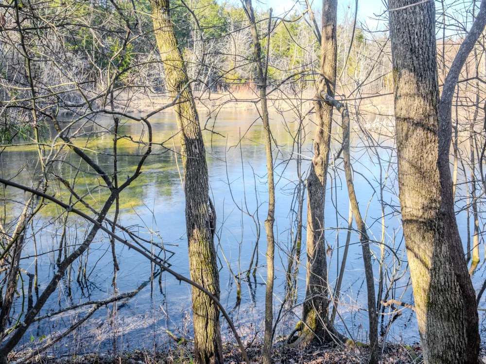 0 Lasea Rd Spring Hill, TN 37174