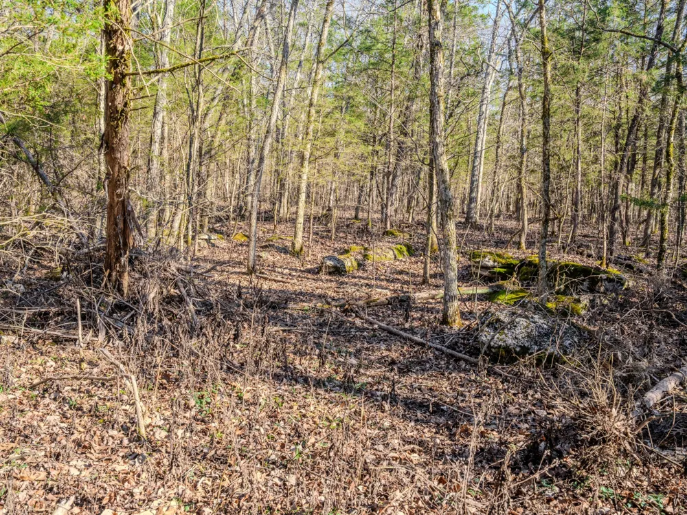 0 Lasea Rd Spring Hill, TN 37174