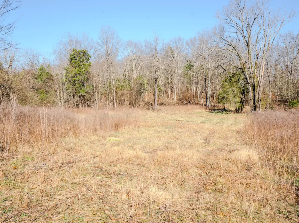 0 Lasea Rd Spring Hill, TN 37174
