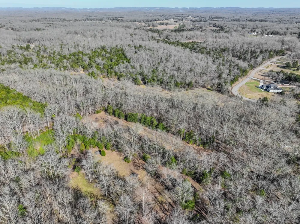 0 Lasea Rd Spring Hill, TN 37174
