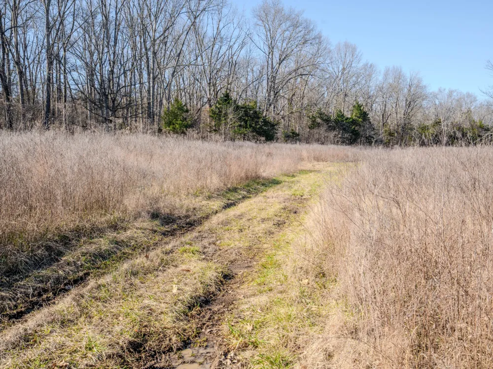 0 Lasea Rd Spring Hill, TN 37174