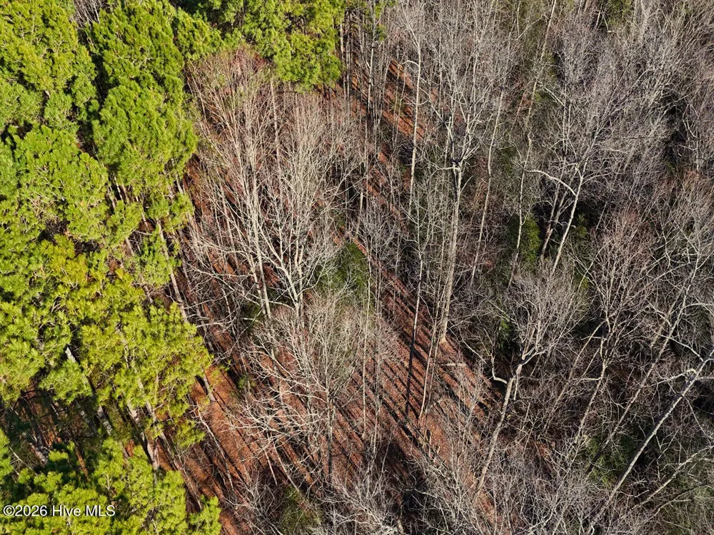 0 Nc 98 Highway Spring Hope, NC 27882