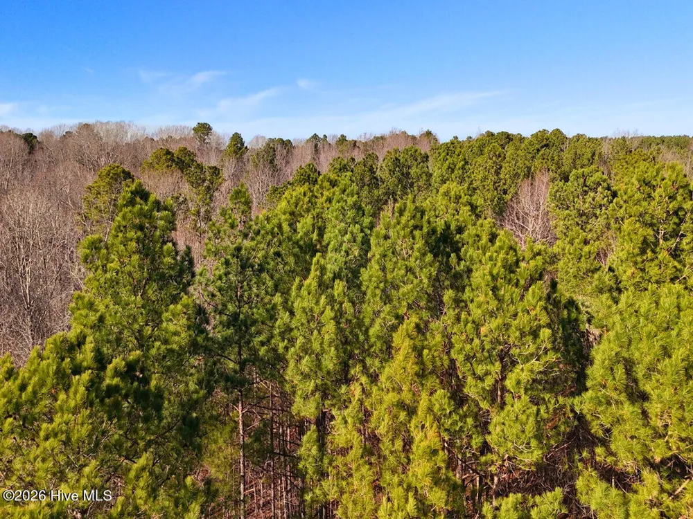 0 Nc 98 Highway Spring Hope, NC 27882