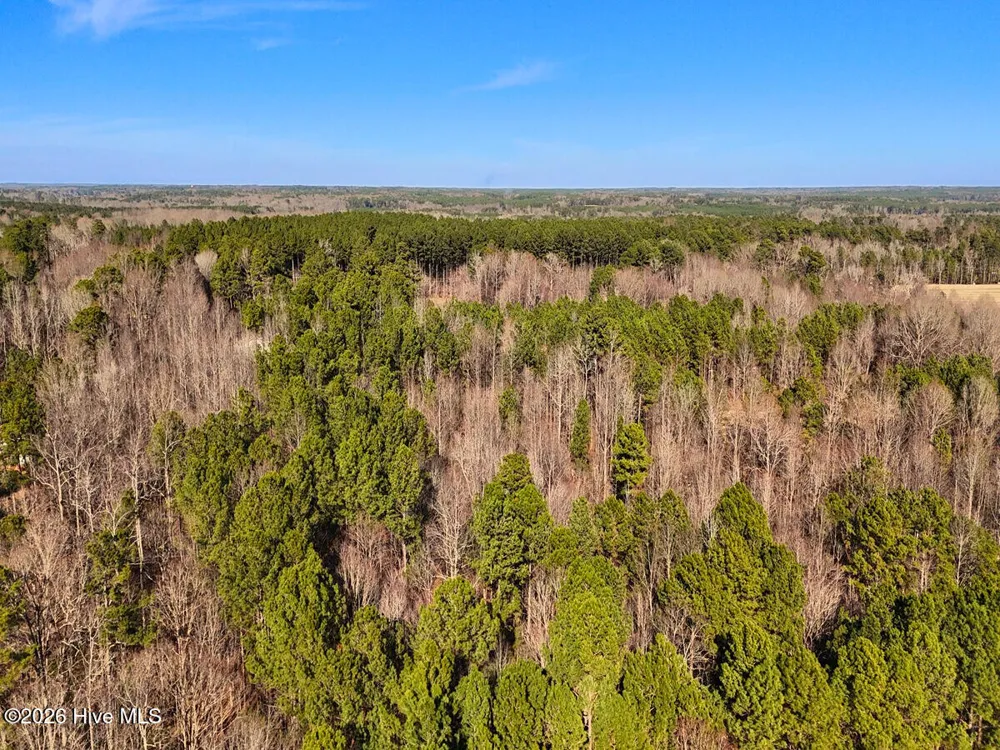 0 Nc 98 Highway Spring Hope, NC 27882