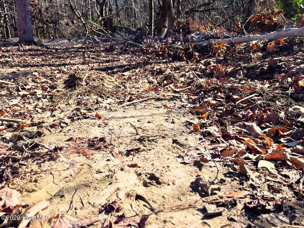 0 Nc 98 Highway Spring Hope, NC 27882