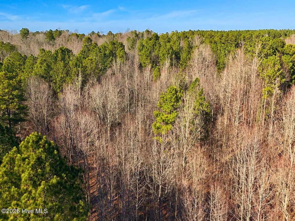 0 Nc 98 Highway Spring Hope, NC 27882