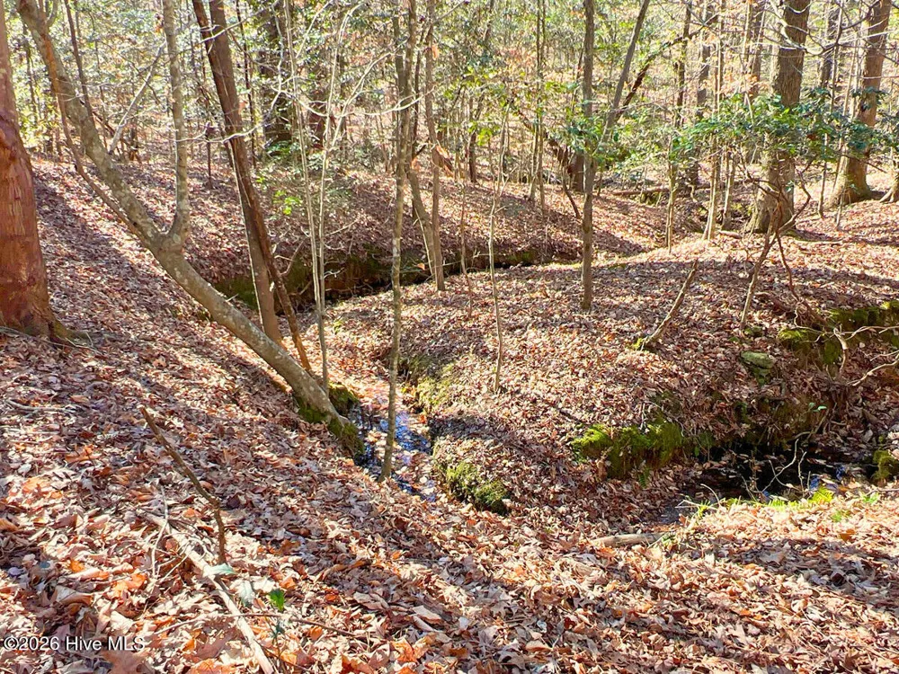 0 Nc 98 Highway Spring Hope, NC 27882