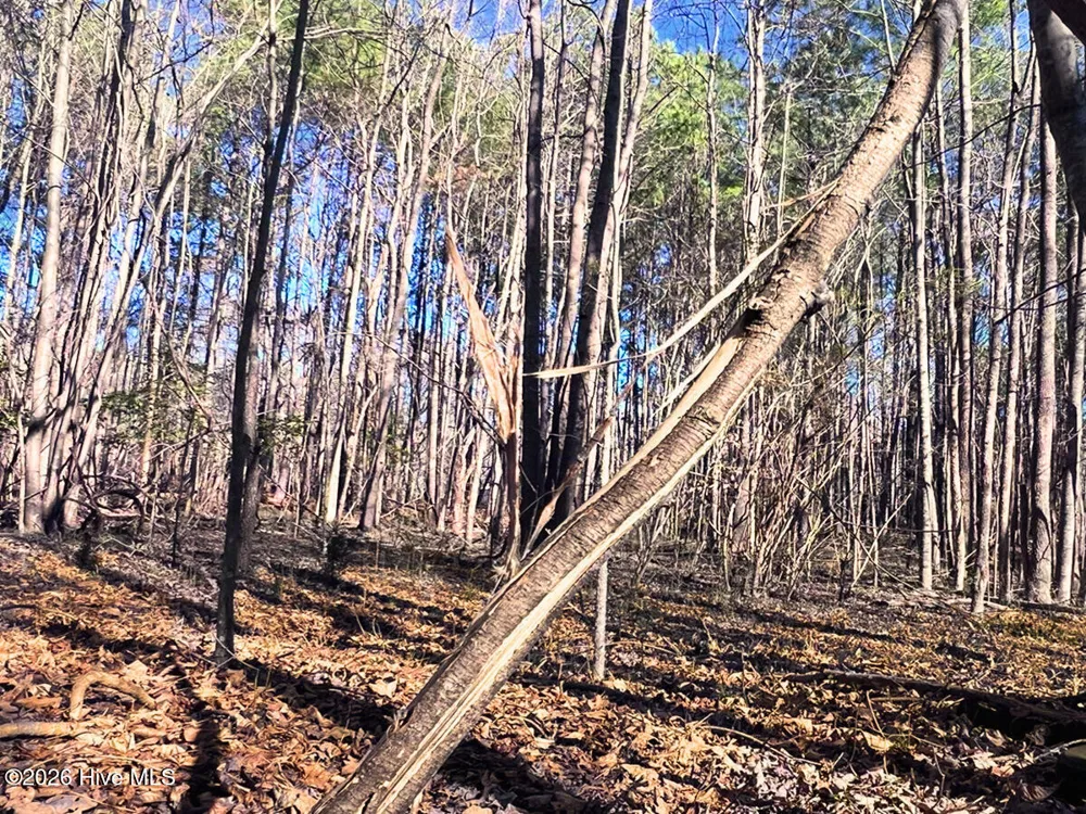 0 Nc 98 Highway Spring Hope, NC 27882