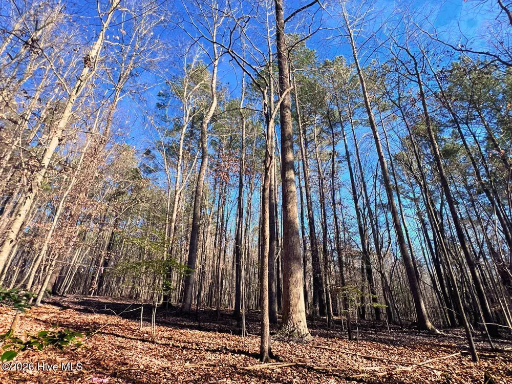 0 Nc 98 Highway Spring Hope, NC 27882