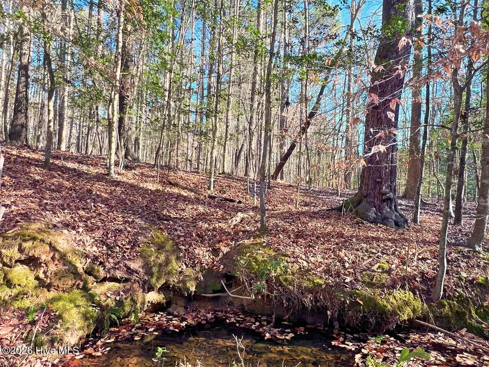0 Nc 98 Highway Spring Hope, NC 27882