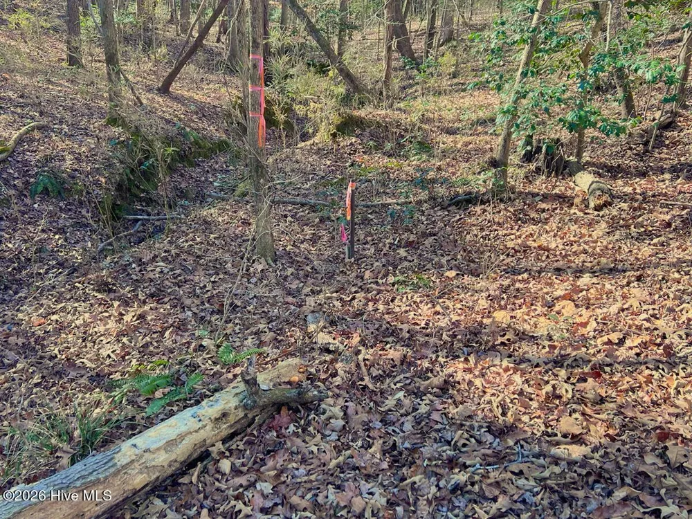 0 Nc 98 Highway Spring Hope, NC 27882