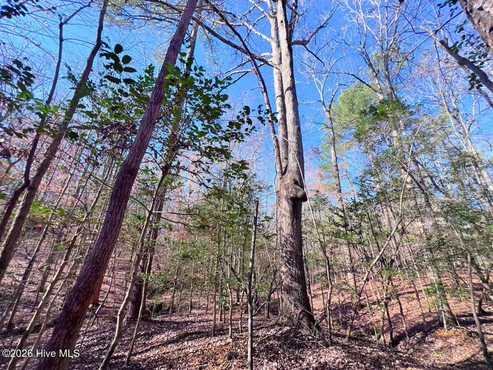 0 Nc 98 Highway Spring Hope, NC 27882