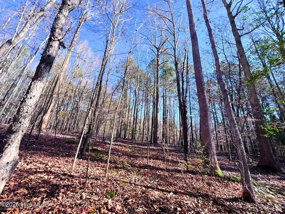 0 Nc 98 Highway Spring Hope, NC 27882