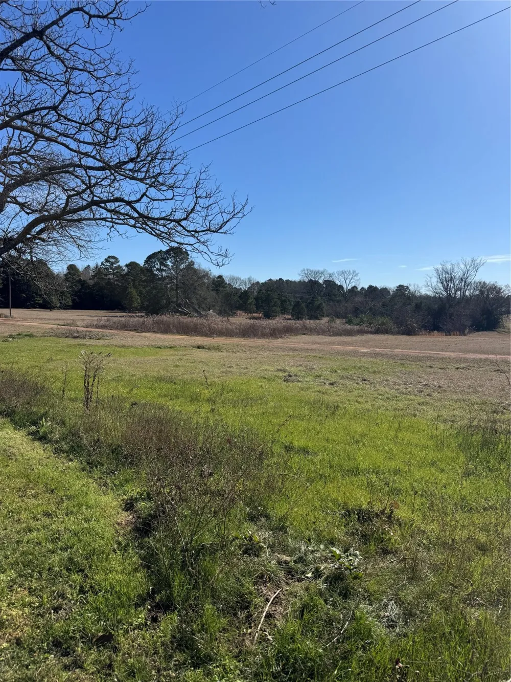 346 County Road 3520 Hawkins, TX 75765