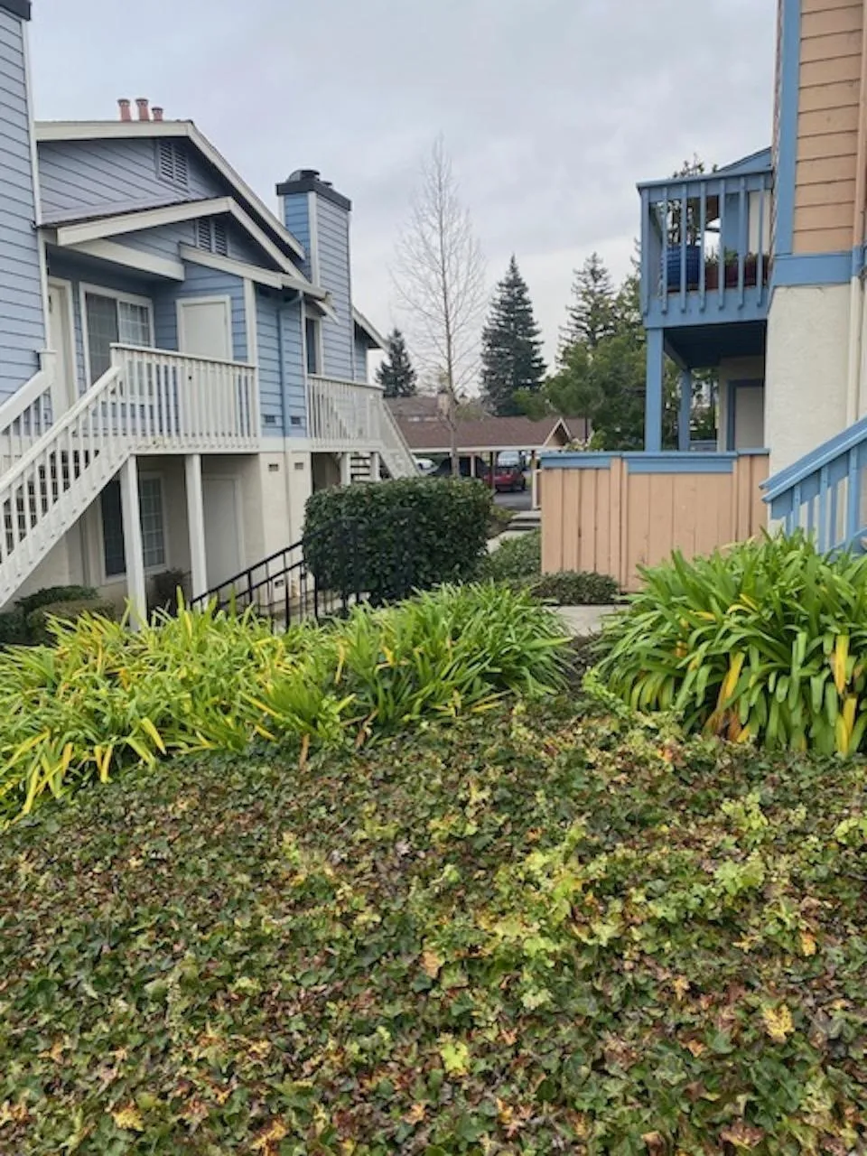 65 Glenwood Hercules, CA 94547