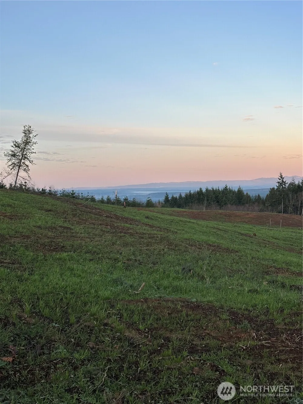 216 Suncrest Drive Castle Rock, WA 98611