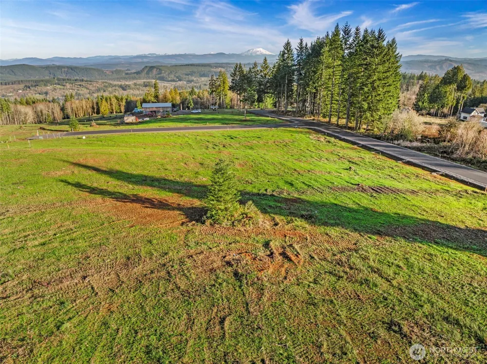 216 Suncrest Drive Castle Rock, WA 98611