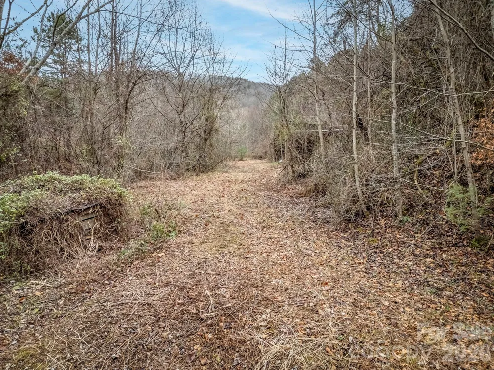 896 Newfound Road Leicester, NC 28748