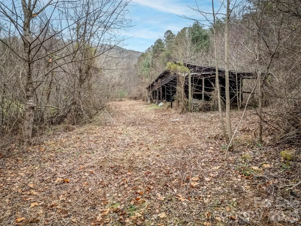 896 Newfound Road Leicester, NC 28748