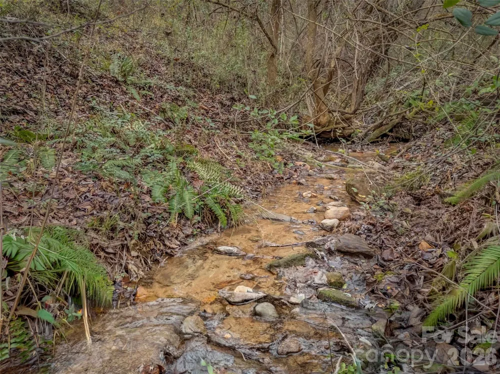 896 Newfound Road Leicester, NC 28748