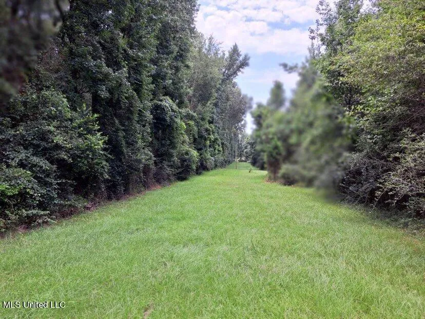 000 Colonial Drive Magee, MS 39111