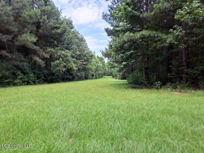 000 Colonial Drive Magee, MS 39111