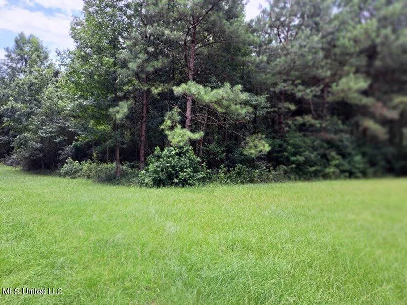 000 Colonial Drive Magee, MS 39111