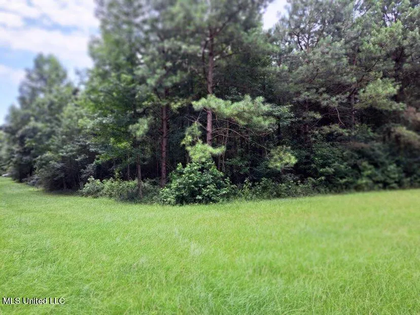 000 Colonial Drive Magee, MS 39111