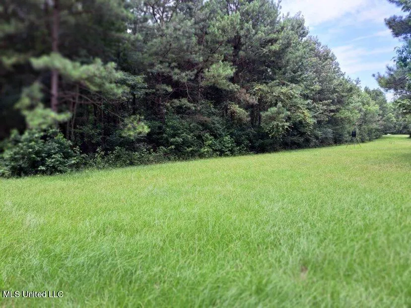 000 Colonial Drive Magee, MS 39111