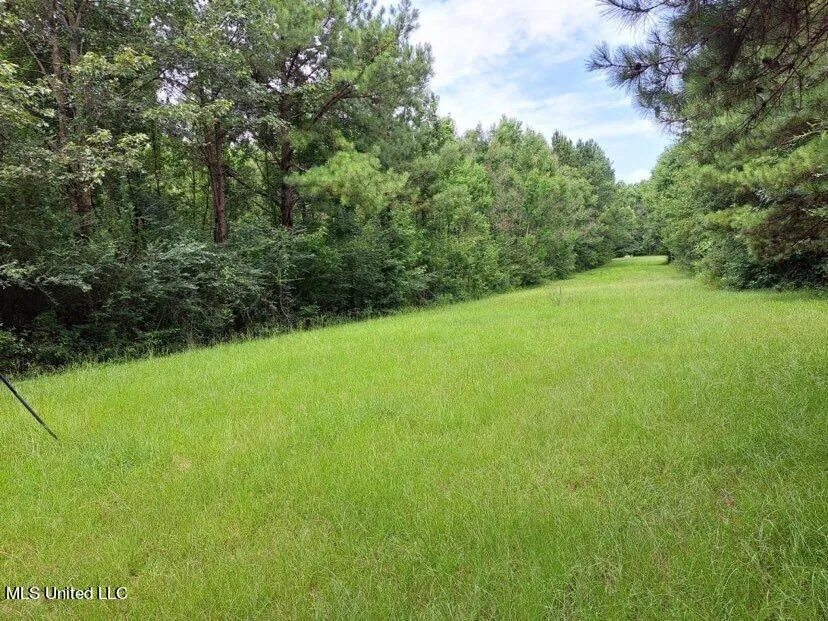 000 Colonial Drive Magee, MS 39111
