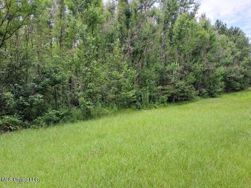 000 Colonial Drive Magee, MS 39111