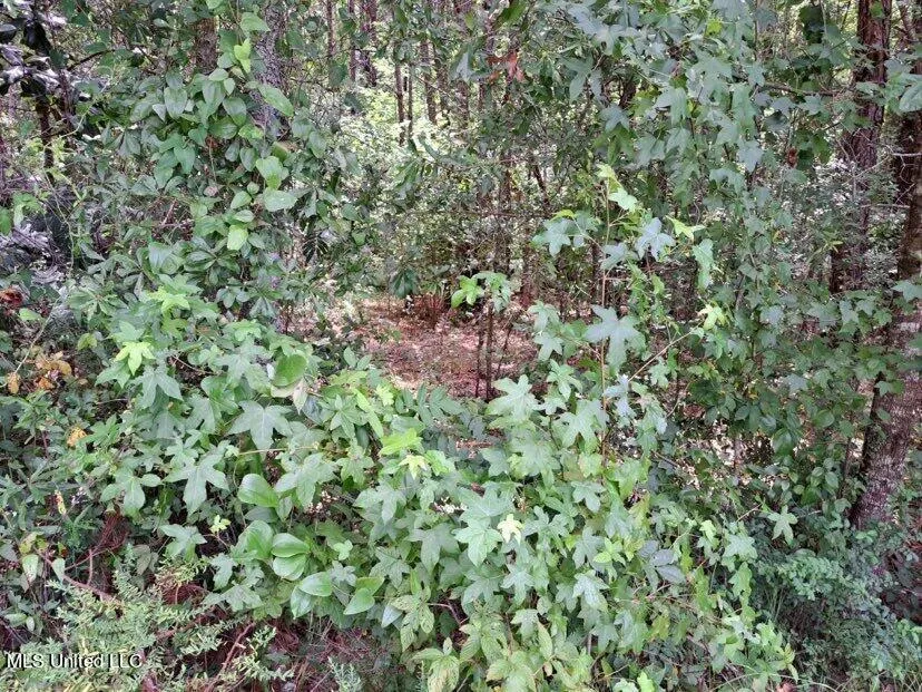 000 Colonial Drive Magee, MS 39111
