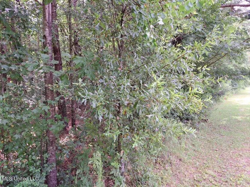 000 Colonial Drive Magee, MS 39111