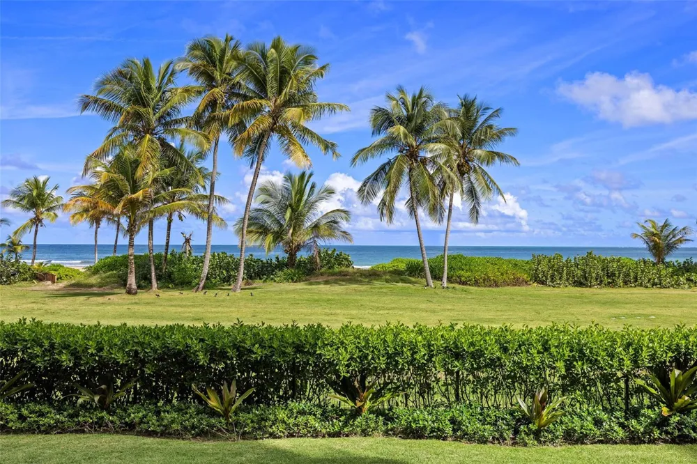 3101 OCEAN DRIVE Rio Grande, PR 00745