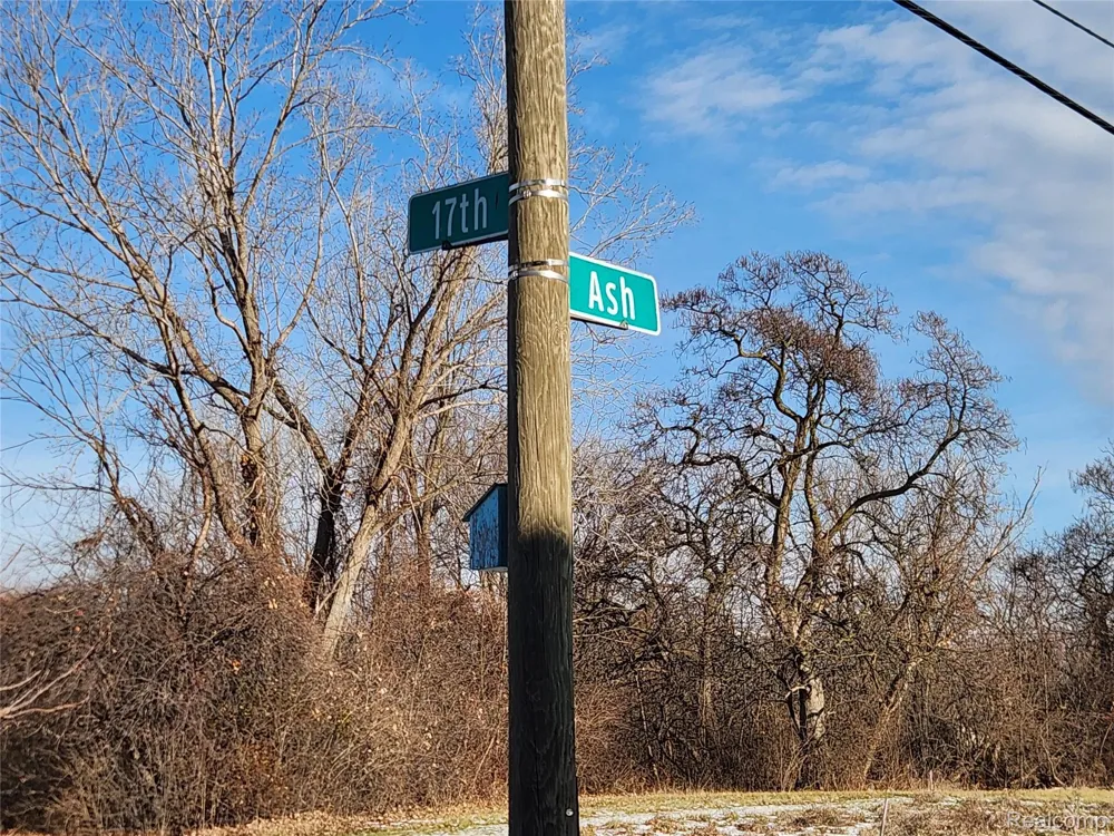 3095 17th Street Detroit City, MI 48216