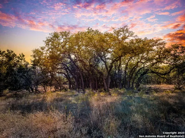 34760 Carries Creek Dr Bulverde, TX 78163