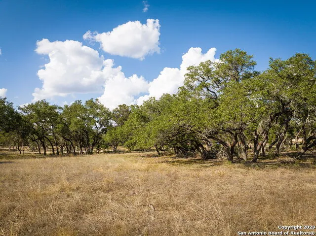 34760 Carries Creek Dr Bulverde, TX 78163