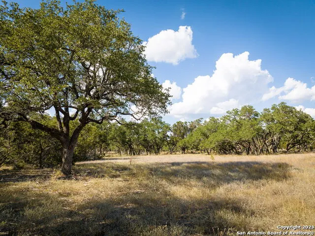 34760 Carries Creek Dr Bulverde, TX 78163